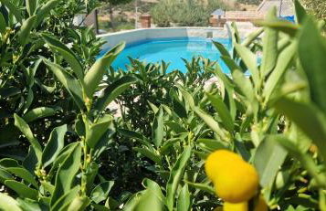 Villa Stone Lace - Photo 45