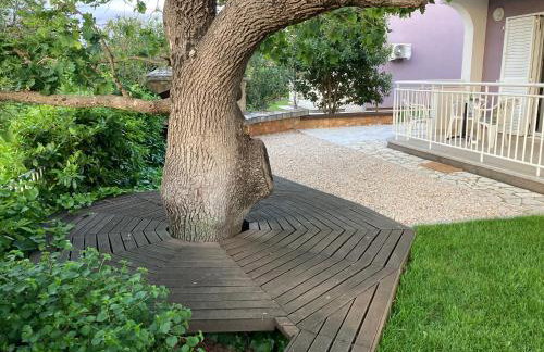 Apartmani Marija Klimno A - Foto 22