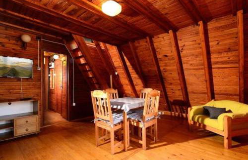 Perełka Bieszczady Domki - Photo 59