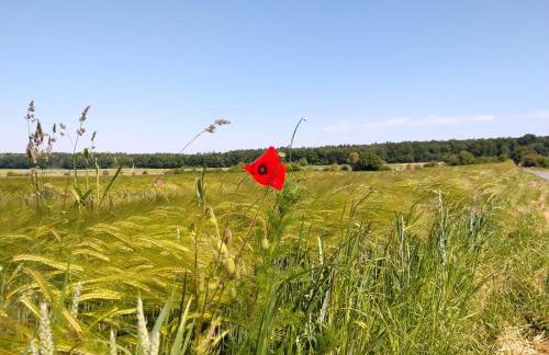 Wohnung-Aublick - Foto 12