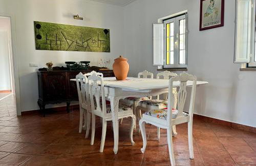 Tapada dos Ribeiros - Foto 23