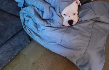 Stay Like A Boss- Penthouse-Views- Convention Center- Free Parking - Foto 47