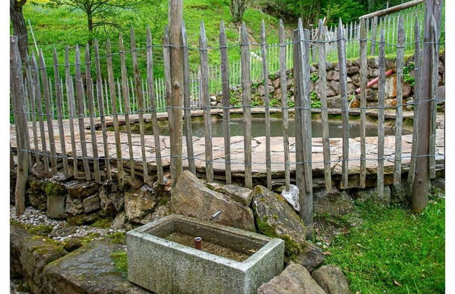 Infanglalm "attersee" - Foto 28