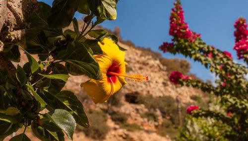 Villa Stefanotis - Foto 5