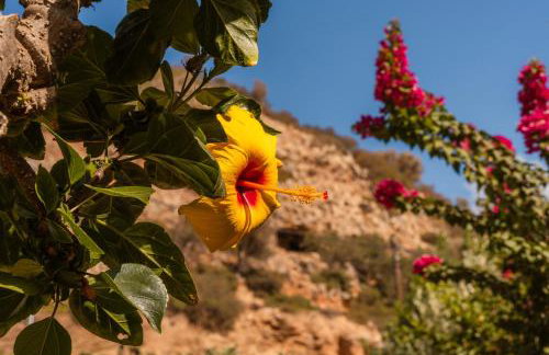 Villa Stefanotis - Foto 5