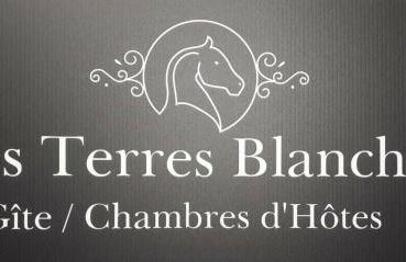 GITE LA ROCHE - Foto 11