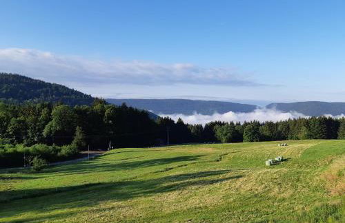 Le Gîte du Chat Gru - Foto 14