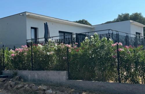 Villa avec piscine au calme à Figari - Foto 1