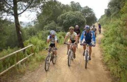 Renovación total post-covid Netflix, Piscina - Foto 39