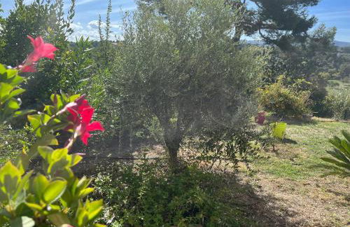 Charme et calme - Photo 19