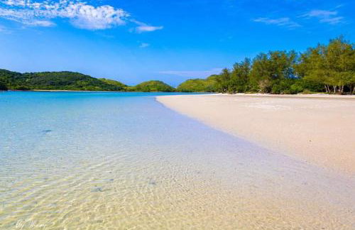 Bragança's Houses - Foto 43