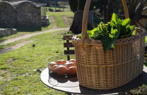 Mas Roquet - Foto 11