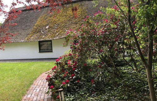 Holiday home with 2 bedrooms - Foto 3