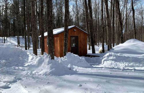 Cozy Three-Bedroom Cabin Near The Salmon River in Altmar, New York - Foto 19