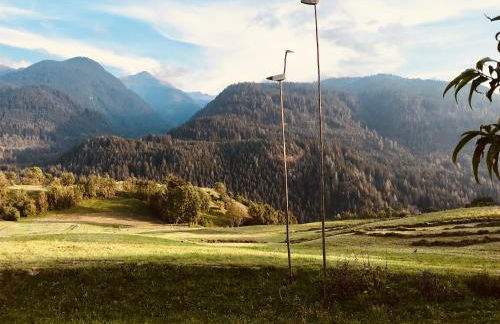 Appartamenti Pichler - Foto 32