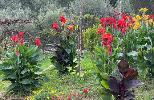Giardinia Holiday Homes with Private Pool - Foto 21