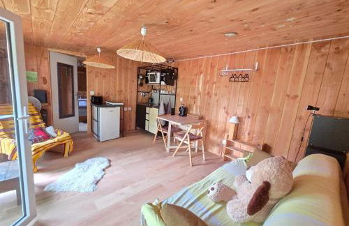 Studio bois avec terrasse et jardin bassin et océan - Foto 11