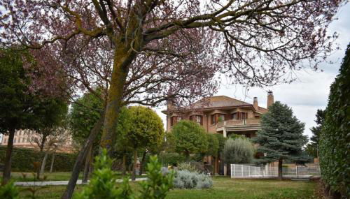 Casa Gilgar Olite - Foto 2, Garden, Garden view