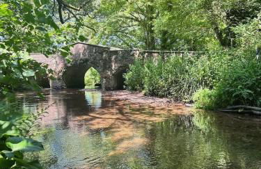 Beautiful Cottage Parking Central Dunster - Photo 34