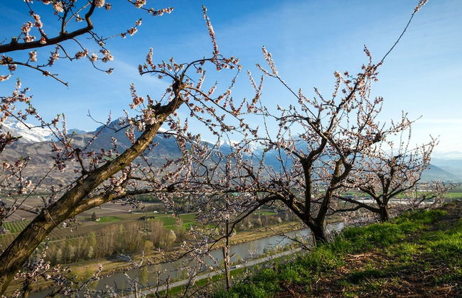 Mountain View Holiday Home in Binntal near Lengtal Deck - Foto 17
