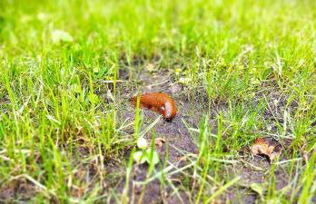 Wrzosowy Młyn - Twoje miejsce nad Jeziorem - Foto 63