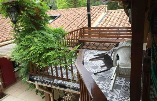 Casacoquelicot Un jardin sud-américain en Provence - Photo 19