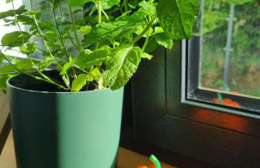 W Małym Sadzie - Foto 23