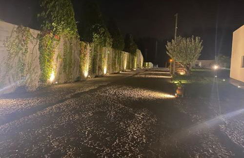 Medronho D'Ouro bungalows - Photo 34