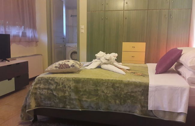 Central Studio - Foto 1