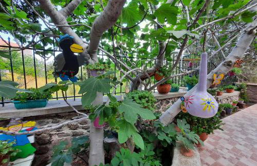 Anemona Apartment - Foto 14