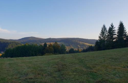 Przystanek Letnisko - Foto 26