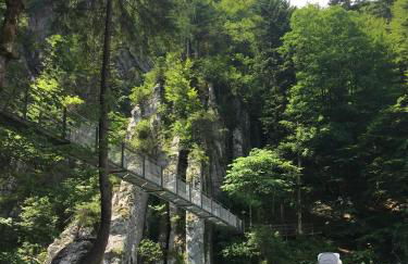 Ferienwohnung Zum Lenei - Photo 19