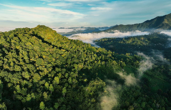 Celestial Hills - by The Clarks - Foto 12