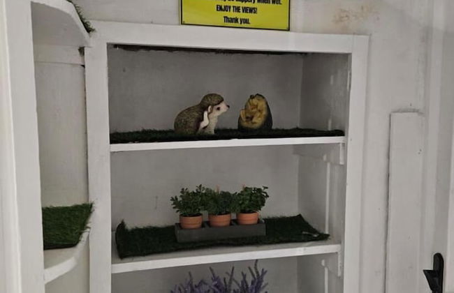 Llangollen Retreat With Stunning Views of the Castle - Foto 34