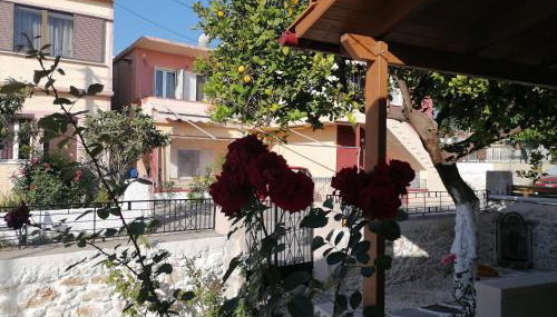 Lemon Tree House - Foto 4