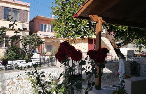 Lemon Tree House - Photo 4