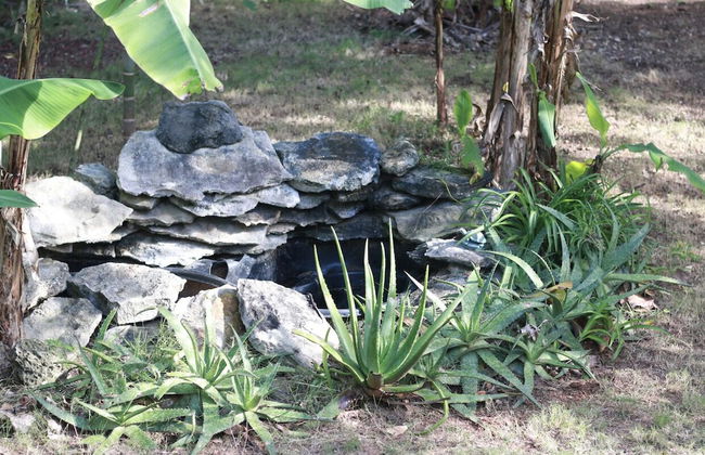 The Sugar Apple Lodging - Foto 54