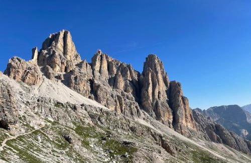 LA POESIA DOLOMITI APARTMENTS - Photo 58