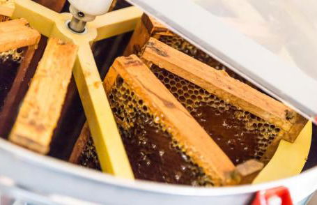 Agriturismo Palazzo Bandino - Wine cellar, on reservation restaurant and spa - Foto 65