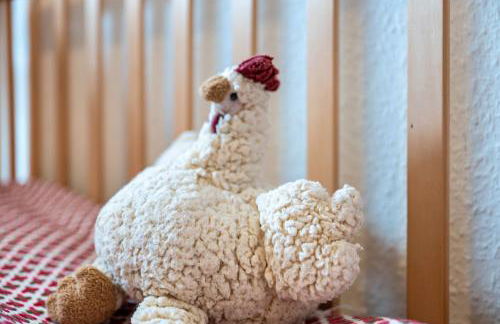 Ferienwohnungen Kastenmüller - Foto 48