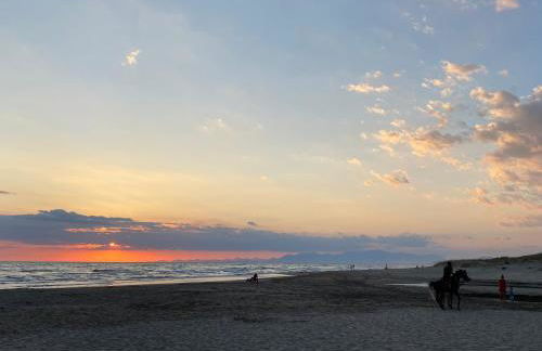 Casagiardino Sofía - Foto 31