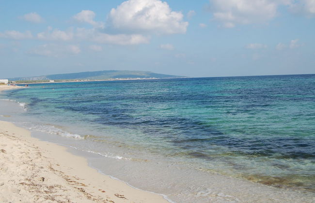 Apartamentos Turísticos Casin - Foto 16