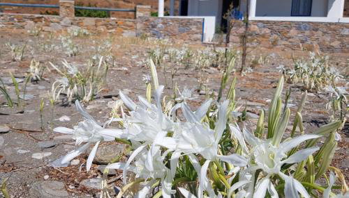 House by the sea - Foto 5