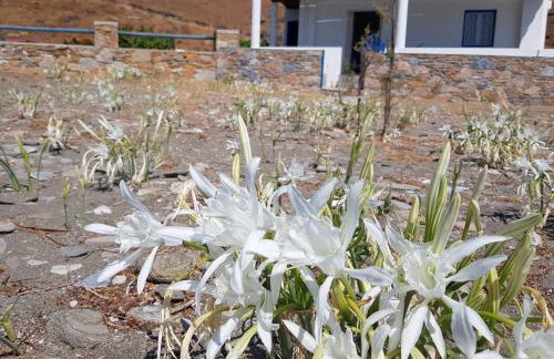 House by the sea - Photo 5