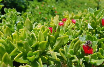 Galini Breeze - Foto 59