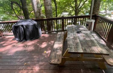 Bear Lodge Inn - Banner Elk Peaceful & Cozy Cabin Retreat - Foto 29