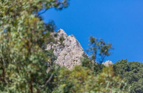 Casa Pájaro del Músico, Bolonia - Foto 55