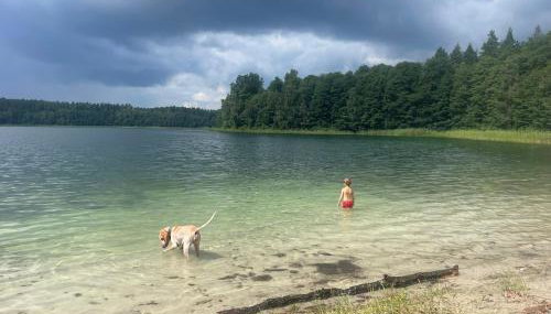 Żurawi klangor dom z sauną i jacuzzi - Foto 3