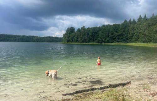 Żurawi klangor - dom z sauną i jacuzzi - Foto 30