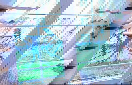 Apartamenty na Wyspie - Foto 19